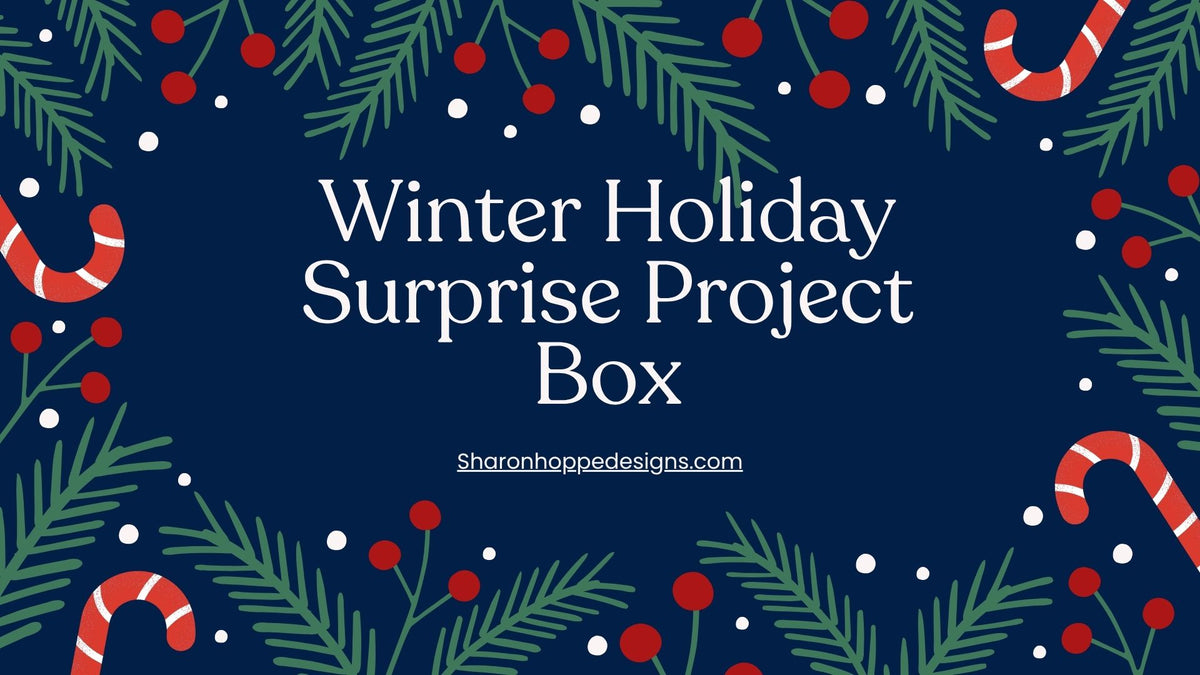 Winter Holiday 2026 Surprise Project Box