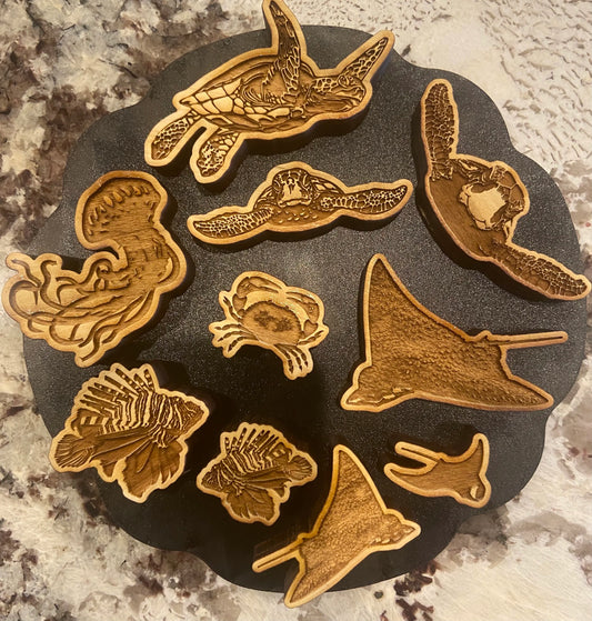 Sea Quest Adventures Collection