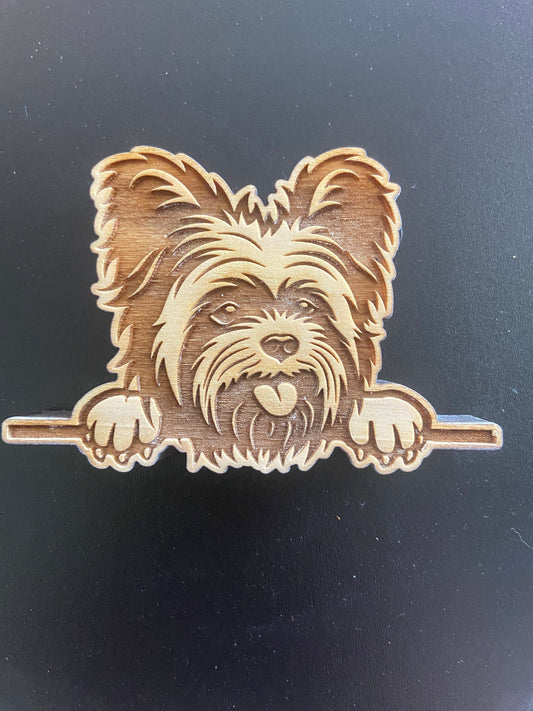 Yorkie Baby