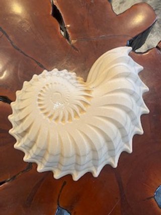 Inside texture Under the SeaShell program Carved Shape Bowl  This shape will include the appropriate template (Outie) Hump mold - Texture will be on the inside of the bowl